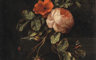 Ultimate Provence – Rose