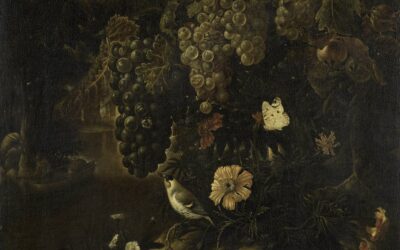 Bemuse – Bemuse Flora Rose (Effervescent Honey Wine)