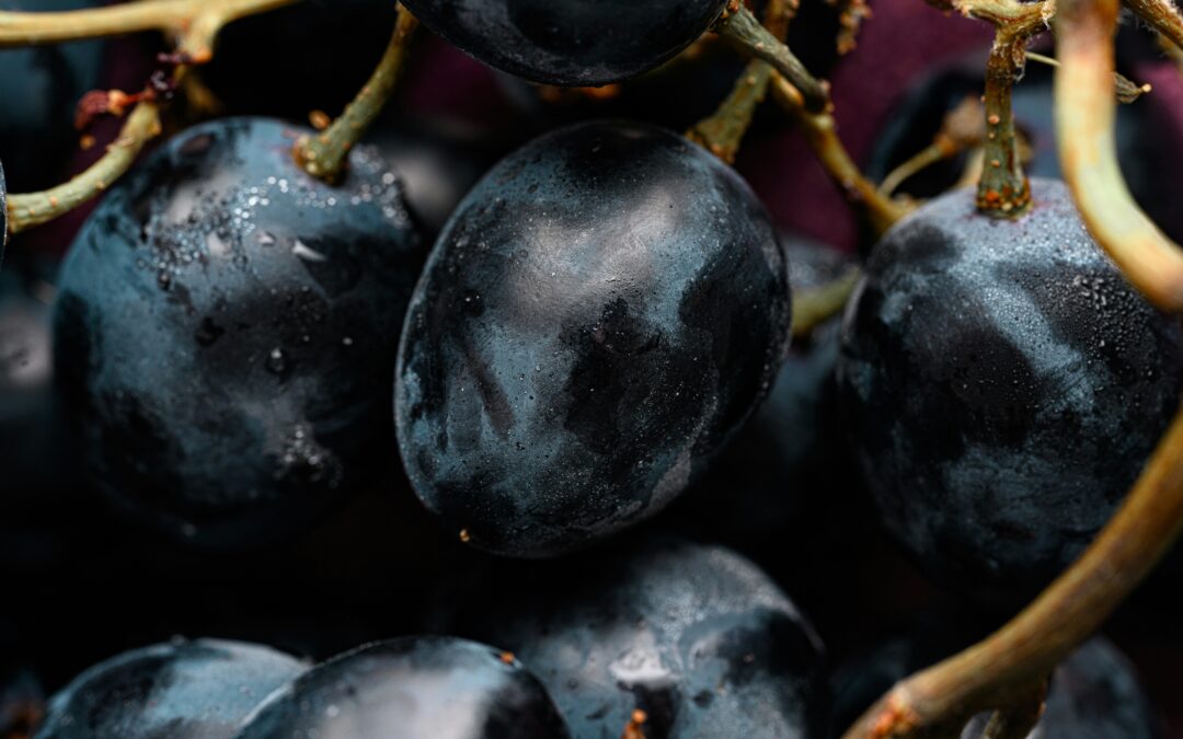 Plaimont Producteurs