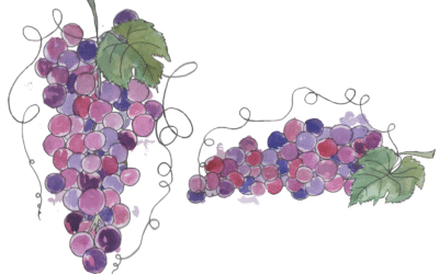 Valdo – Valdo Aquarius Rose Brut